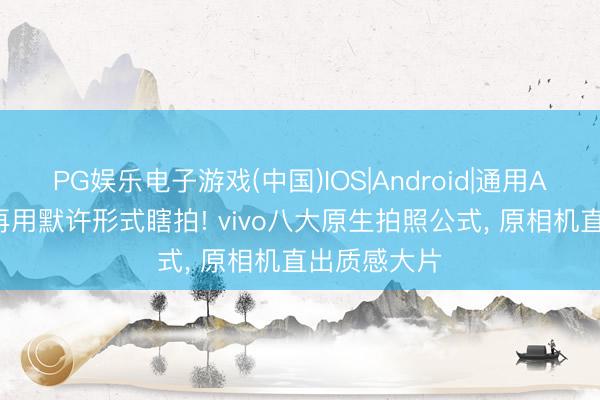 PG娱乐电子游戏(中国)IOS|Android|通用APP下载 别再用默许形式瞎拍! vivo八大原生拍照公式， 原相机直出质感大片