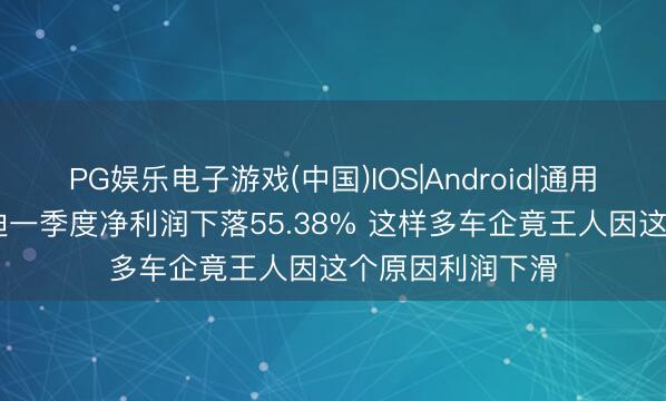 PG娱乐电子游戏(中国)IOS|Android|通用APP下载 比亚迪一季度净利润下落55.38% 这样多车企竟王人因这个原因利润下滑