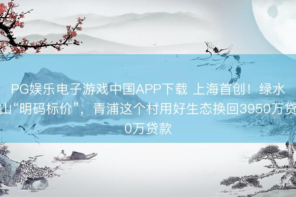 PG娱乐电子游戏中国APP下载 上海首创！绿水青山“明码标价”，青浦这个村用好生态换回3950万贷款