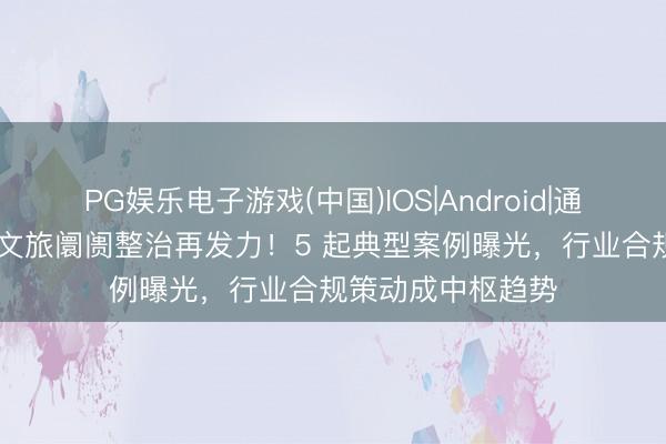 PG娱乐电子游戏(中国)IOS|Android|通用APP下载 新疆文旅阛阓整治再发力！5 起典型案例曝光，行业合规策动成中枢趋势