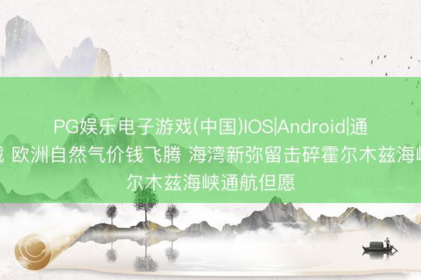 PG娱乐电子游戏(中国)IOS|Android|通用APP下载 欧洲自然气价钱飞腾 海湾新弥留击碎霍尔木兹海峡通航但愿