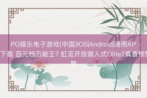 PG娱乐电子游戏(中国)IOS|Android|通用APP下载 百元档万能王? 虹觅开放微入式Olite2真香预警