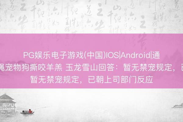 PG娱乐电子游戏(中国)IOS|Android|通用APP下载 未牵绳宠物狗撕咬羊羔 玉龙雪山回答：暂无禁宠规定，已朝上司部门反应